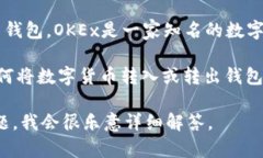 在TP（Telegram Passport）中，OK钱包指的是与OKEx相关