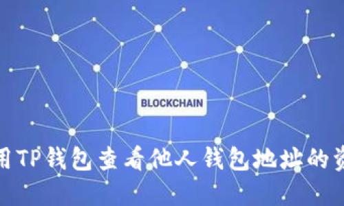如何利用TP钱包查看他人钱包地址的资产状况