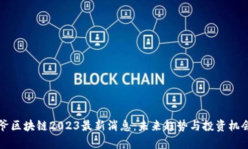 宝二爷区块链2023最新消息：未来趋势与投资机会解析