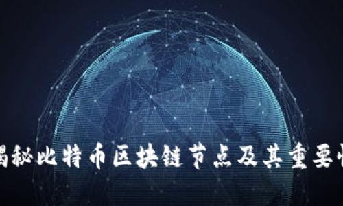 揭秘比特币区块链节点及其重要性