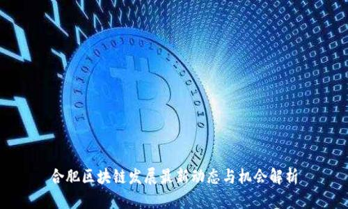 合肥区块链发展最新动态与机会解析