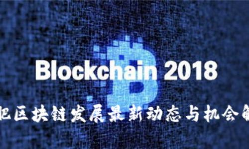 合肥区块链发展最新动态与机会解析